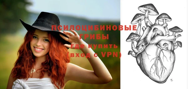 гашик Горнозаводск