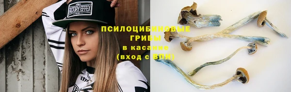 гашик Горнозаводск