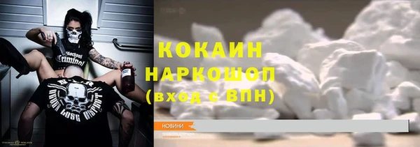 ГАЛЛЮЦИНОГЕННЫЕ ГРИБЫ Горно-Алтайск