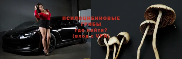 ГАЛЛЮЦИНОГЕННЫЕ ГРИБЫ Горно-Алтайск