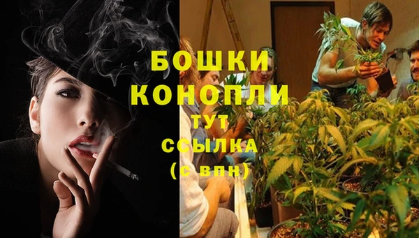 гашик Горнозаводск