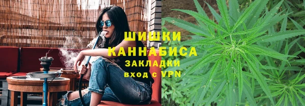 ГАЛЛЮЦИНОГЕННЫЕ ГРИБЫ Горно-Алтайск