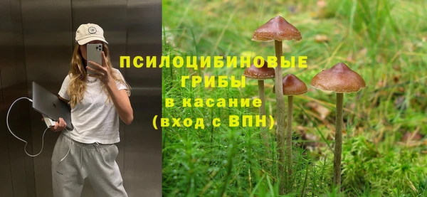 ГАЛЛЮЦИНОГЕННЫЕ ГРИБЫ Горно-Алтайск