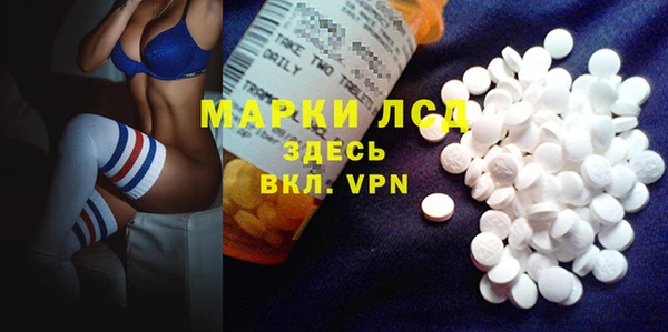 ГАЛЛЮЦИНОГЕННЫЕ ГРИБЫ Горно-Алтайск