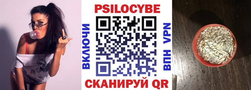 Псилоцибиновые грибы Psilocybine cubensis Горно-Алтайск