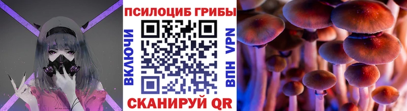 Купить где Горно-Алтайск Галлюциногенные грибы Psilocybe