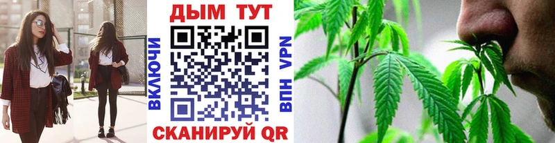 Бошки марихуана гибрид  Купить где  Горно-Алтайск 